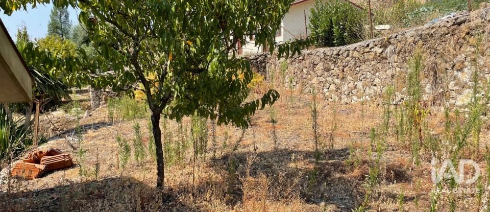 Quinta T4 em Esqueiros, Nevogilde e Travassós de 656 m²