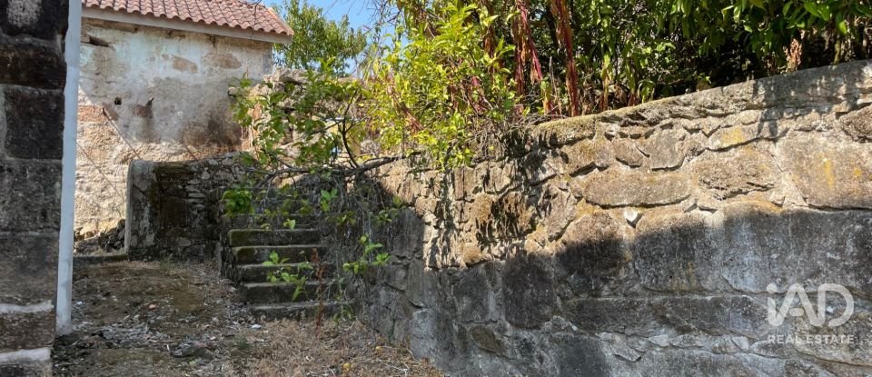 Quinta T4 em Esqueiros, Nevogilde e Travassós de 656 m²