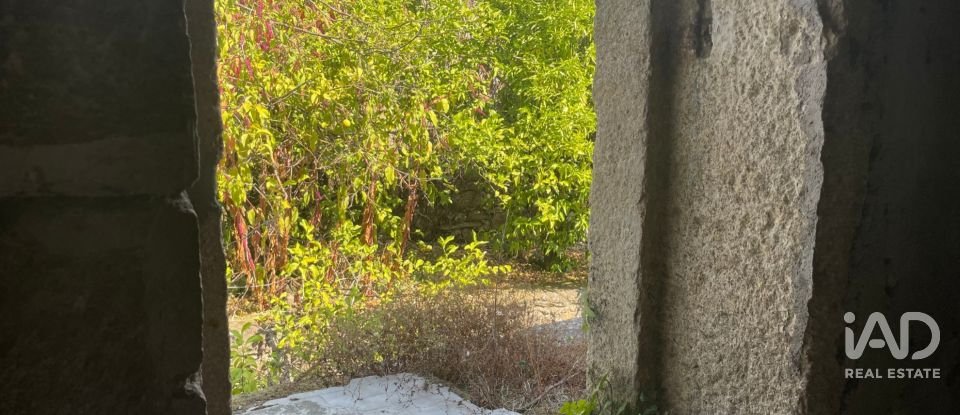 Quinta T4 em Esqueiros, Nevogilde e Travassós de 656 m²