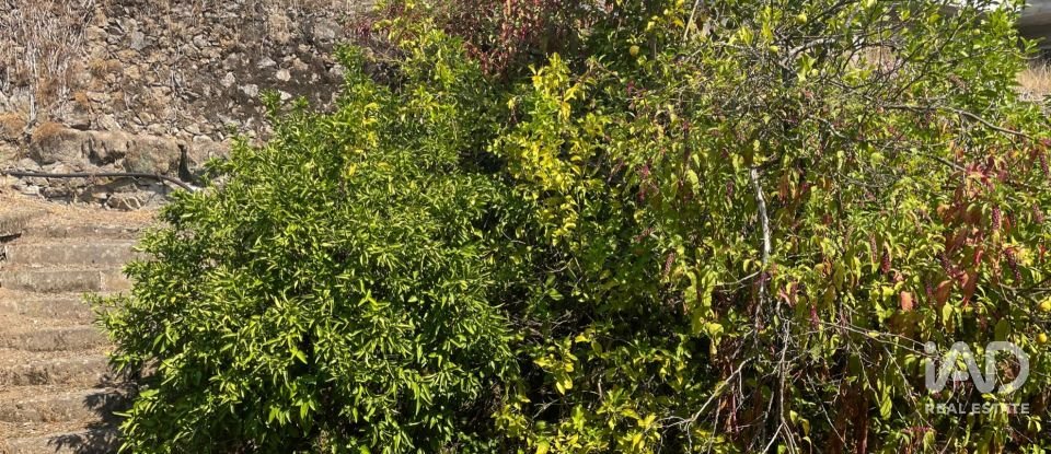 Quinta T4 em Esqueiros, Nevogilde e Travassós de 656 m²