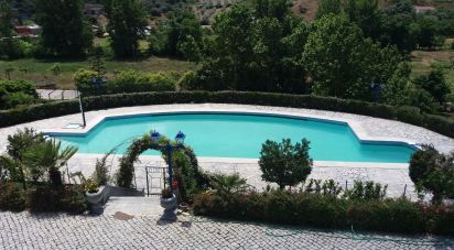 Ferme T9 à Mirandela de 1 021 m²