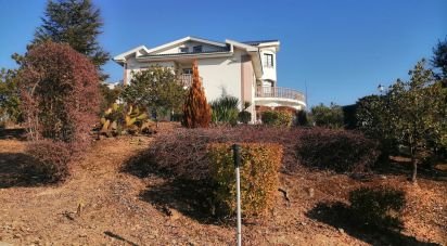 Ferme T9 à Mirandela de 1 021 m²