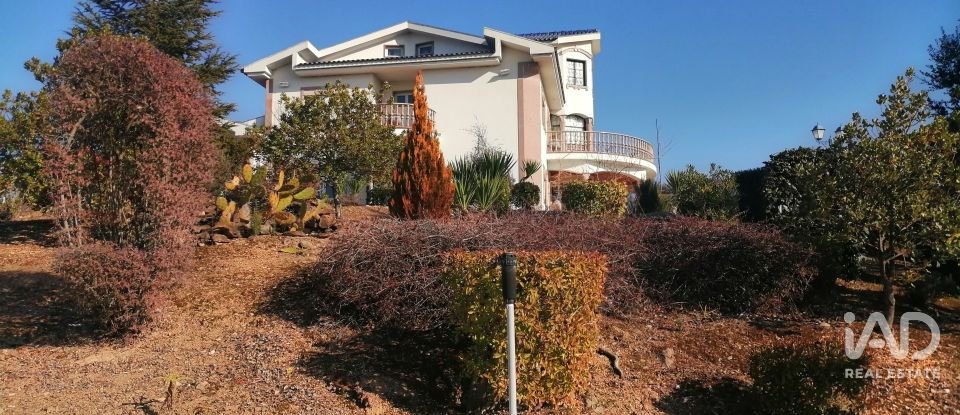 Ferme T9 à Mirandela de 1 021 m²