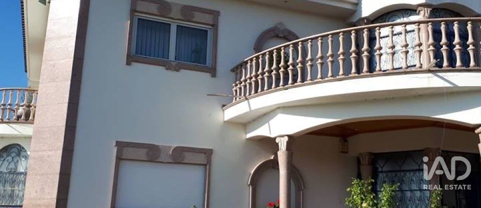 Ferme T9 à Mirandela de 1 021 m²