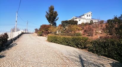 Ferme T9 à Mirandela de 1 021 m²