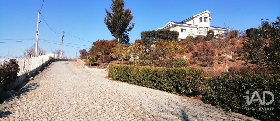 Ferme T9 à Mirandela de 1 021 m²