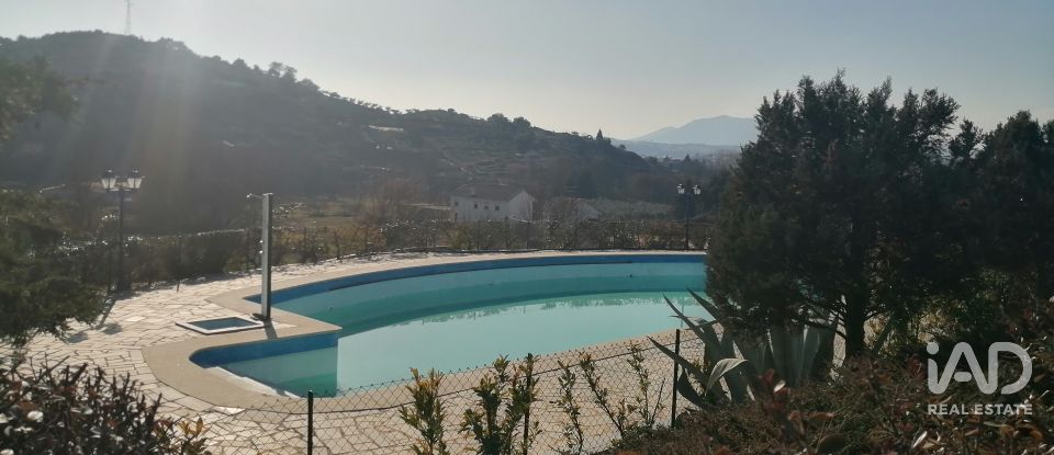 Ferme T9 à Mirandela de 1 021 m²