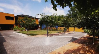 Gîte T5 à Pampilhosa de 292 m²