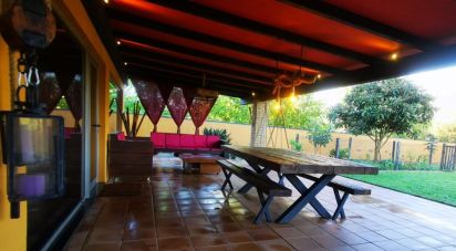 Gîte T5 à Pampilhosa de 292 m²