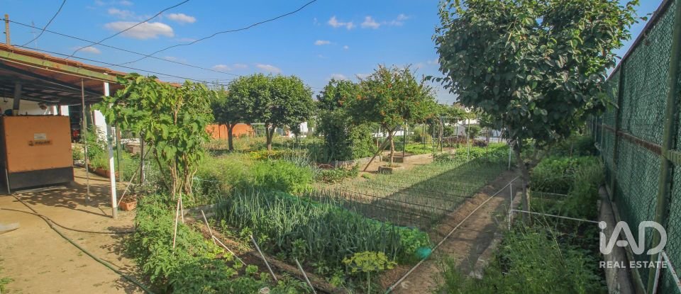 Surface diverse T6 à Terrugem E Vila Boim de 467 m²