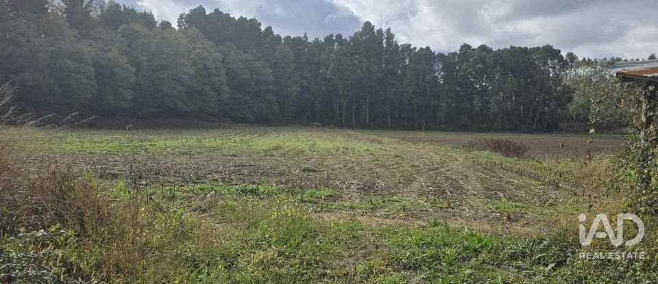 Terreno urbano em Ovar, São João, Arada e São Vicente de Pereira Jusã de 2 000 m²