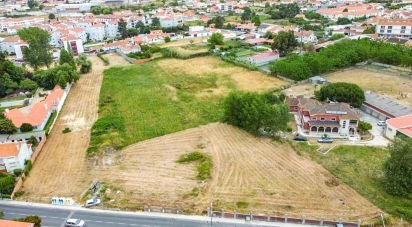 Terrain à Marinha Grande de 16 550 m²