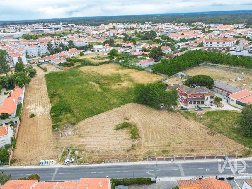 Terreno em Marinha Grande de 16 550 m²