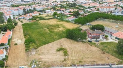 Terrain à Marinha Grande de 16 550 m²