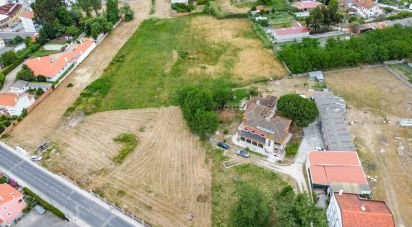 Terrain à Marinha Grande de 16 550 m²
