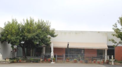 Immeuble à Sarnadas de Ródão de 2 210 m²