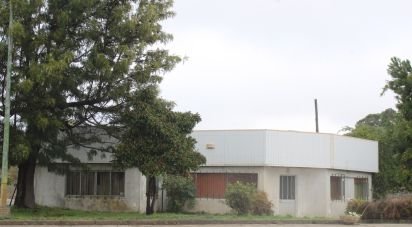 Immeuble à Sarnadas de Ródão de 2 210 m²