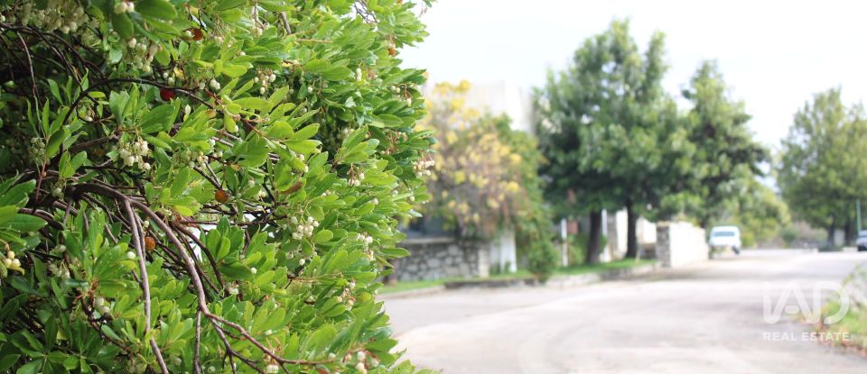 Immeuble à Sarnadas de Ródão de 2 210 m²