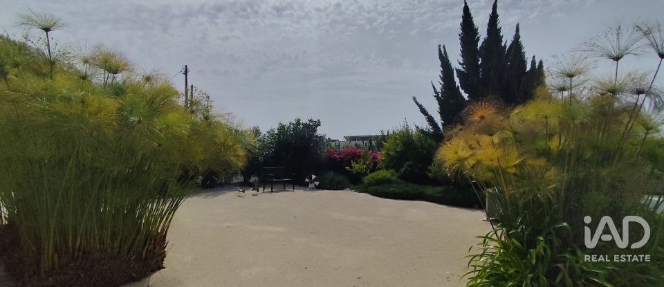 Moradia T4 em Cela de 222 m²