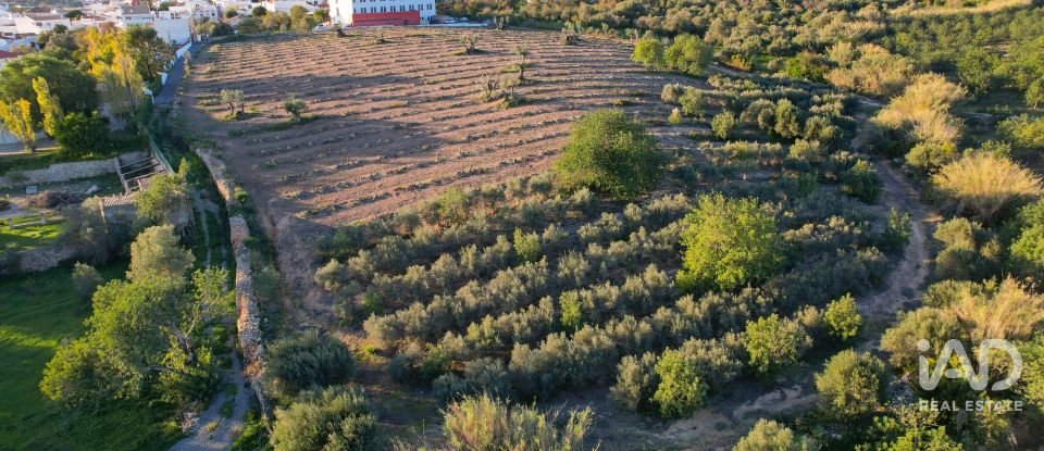 Terrain à bâtir à Conceição e Estoi de 22 000 m²