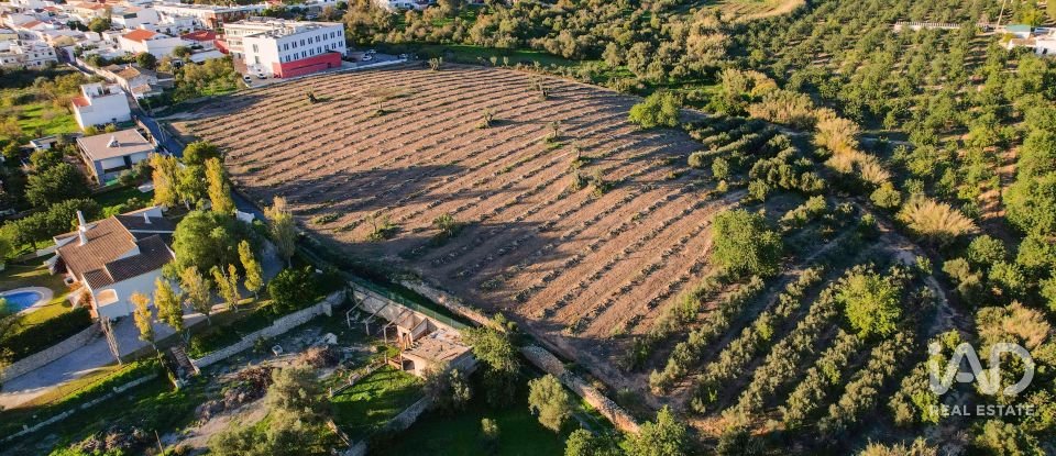 Terrain à bâtir à Conceição e Estoi de 22 000 m²