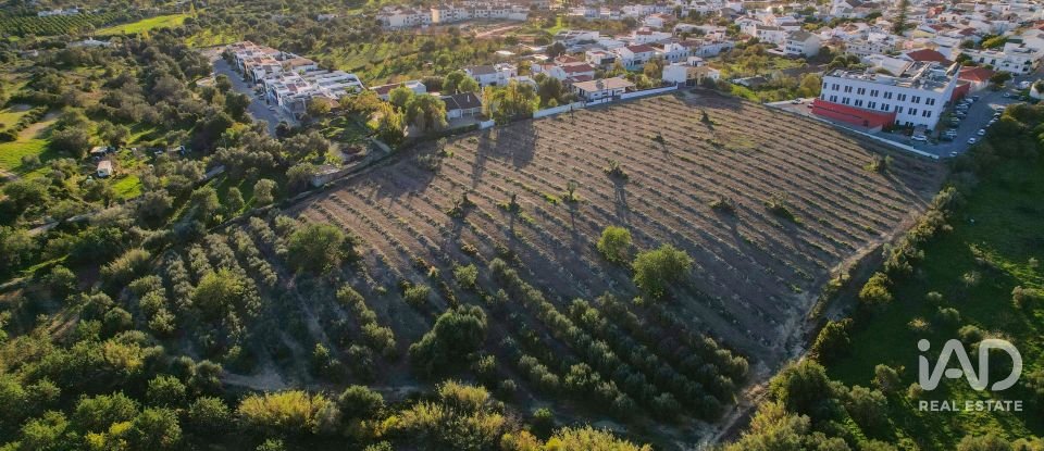 Terrain à bâtir à Conceição e Estoi de 22 000 m²
