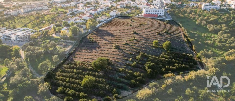 Terrain à bâtir à Conceição e Estoi de 22 000 m²