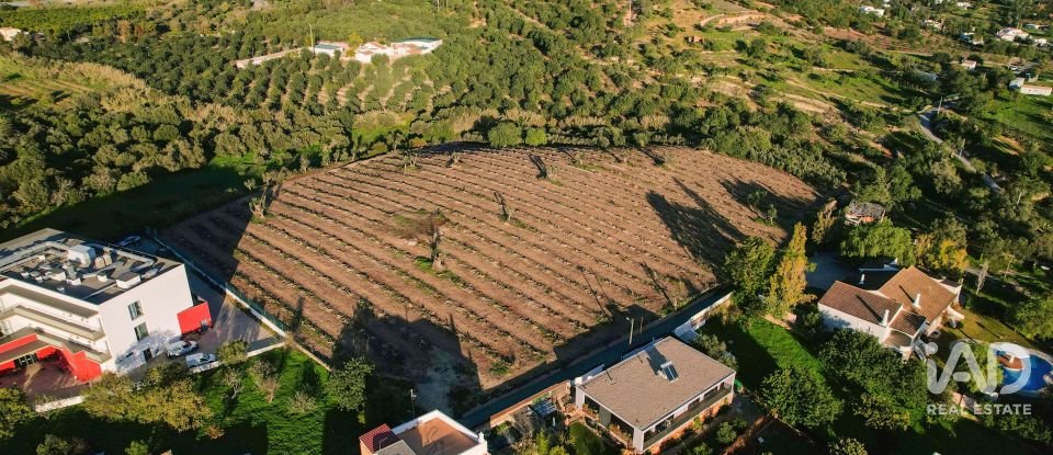 Terrain à bâtir à Conceição e Estoi de 22 000 m²