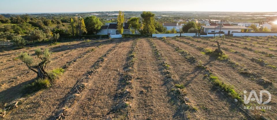 Terrain à bâtir à Conceição e Estoi de 22 000 m²