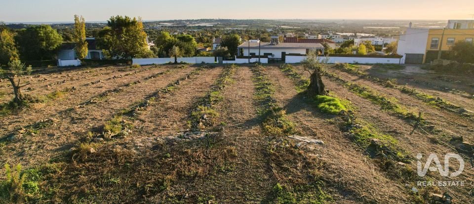 Terrain à bâtir à Conceição e Estoi de 22 000 m²