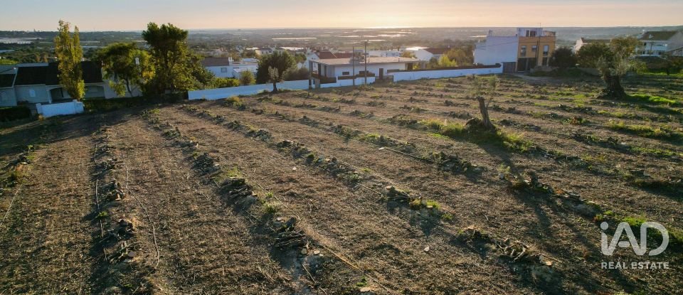 Terrain à bâtir à Conceição e Estoi de 22 000 m²