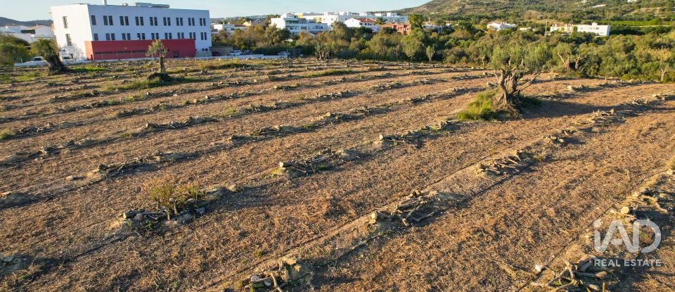 Terrain à bâtir à Conceição e Estoi de 22 000 m²