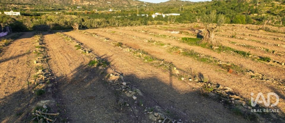 Terrain à bâtir à Conceição e Estoi de 22 000 m²