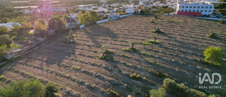 Terrain à bâtir à Conceição e Estoi de 22 000 m²
