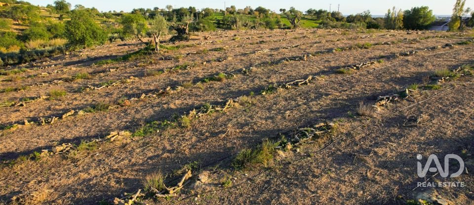 Terrain à bâtir à Conceição e Estoi de 22 000 m²