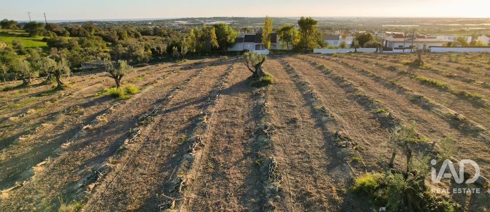 Terrain à bâtir à Conceição e Estoi de 22 000 m²