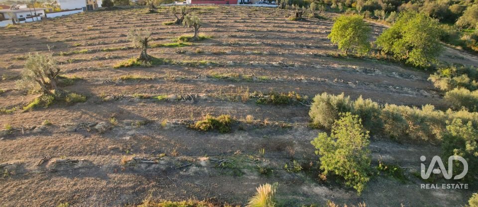 Terrain à bâtir à Conceição e Estoi de 22 000 m²