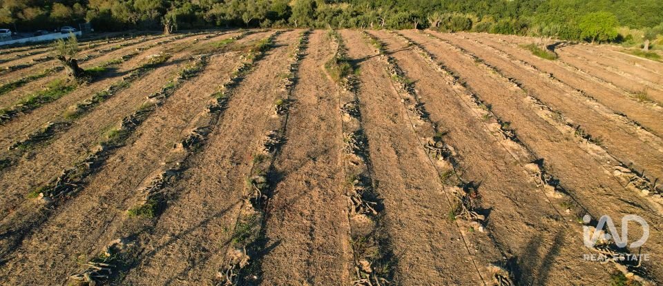 Terrain à bâtir à Conceição e Estoi de 22 000 m²