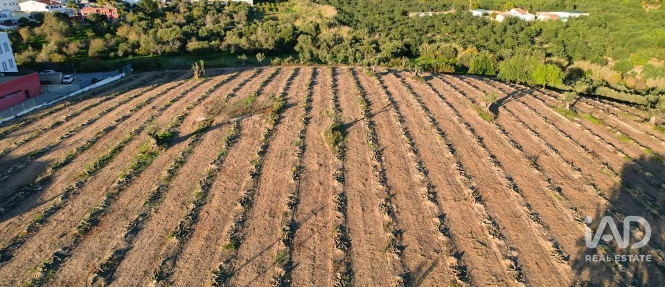Terrain à bâtir à Conceição e Estoi de 22 000 m²