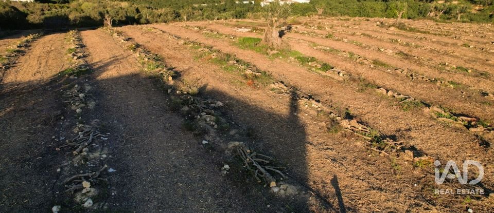 Terrain à bâtir à Conceição e Estoi de 22 000 m²