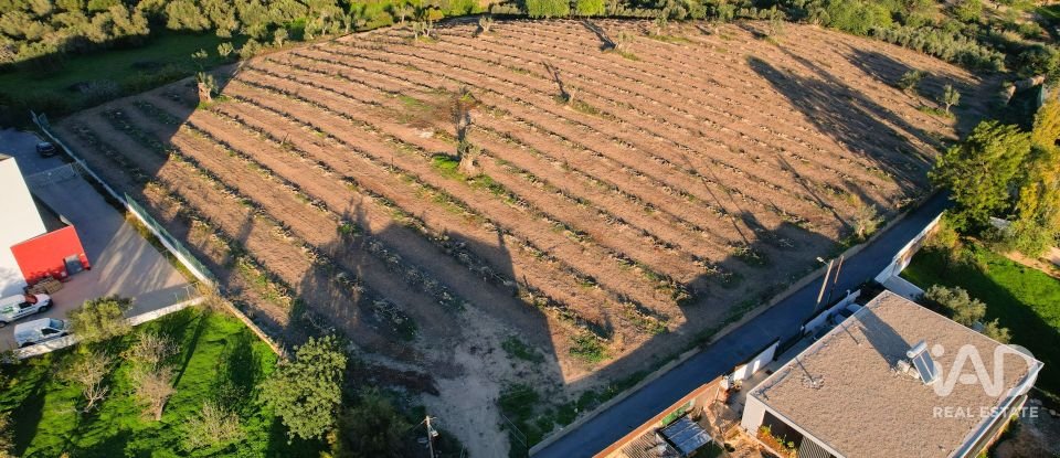 Terrain à bâtir à Conceição e Estoi de 22 000 m²