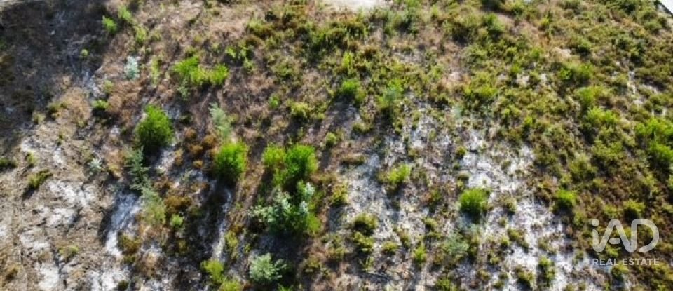 Terreno urbano em Marrazes e Barosa de 2 590 m²