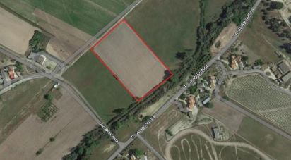 Terrain à Pegões de 12 500 m²