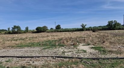 Terrain à Pegões de 12 500 m²