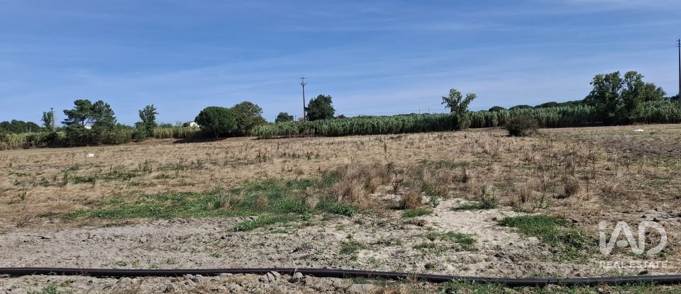 Terreno em Pegões de 12 500 m²