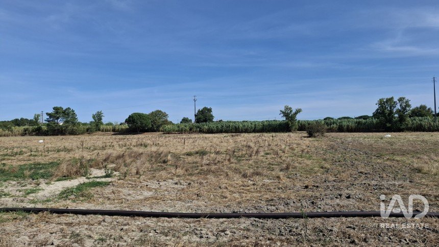 Terreno em Pegões de 11 250 m²