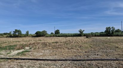 Terrain à Pegões de 11 250 m²