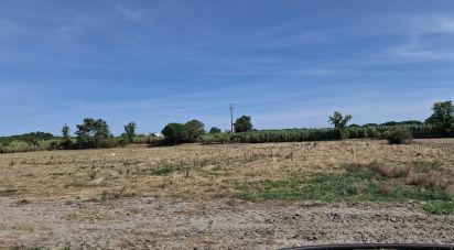 Terrain à Pegões de 11 250 m²