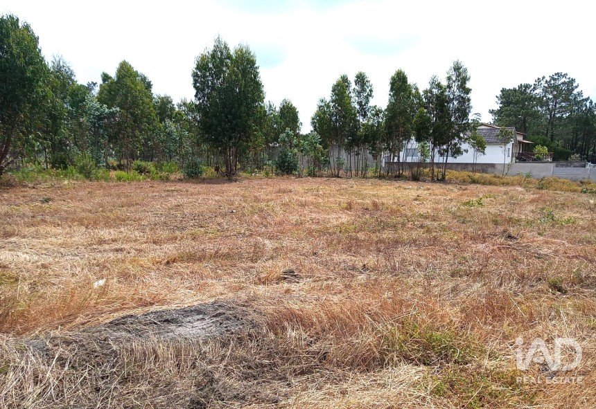 Terreno rústico em Marinha Grande de 1 141 m²