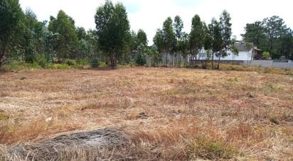 Terrain agricole à Marinha Grande de 1 141 m²